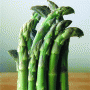 Šparagai – tirpdo kilogramus