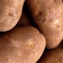 Bulvių ligos: Gumbų sausavidurė