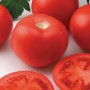 Kaip pasirinkti pomidorų hibridą?