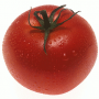 Jei auginsite ankstyvuosius pomidorus
