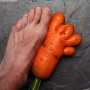 Ką verta žinoti apie morkas?