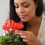 Namų vidaus gėlių privalumai ir priežiūra