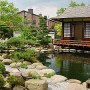Japoniško stiliaus sodas
